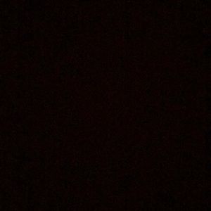 Meet your Posher, Isaiah